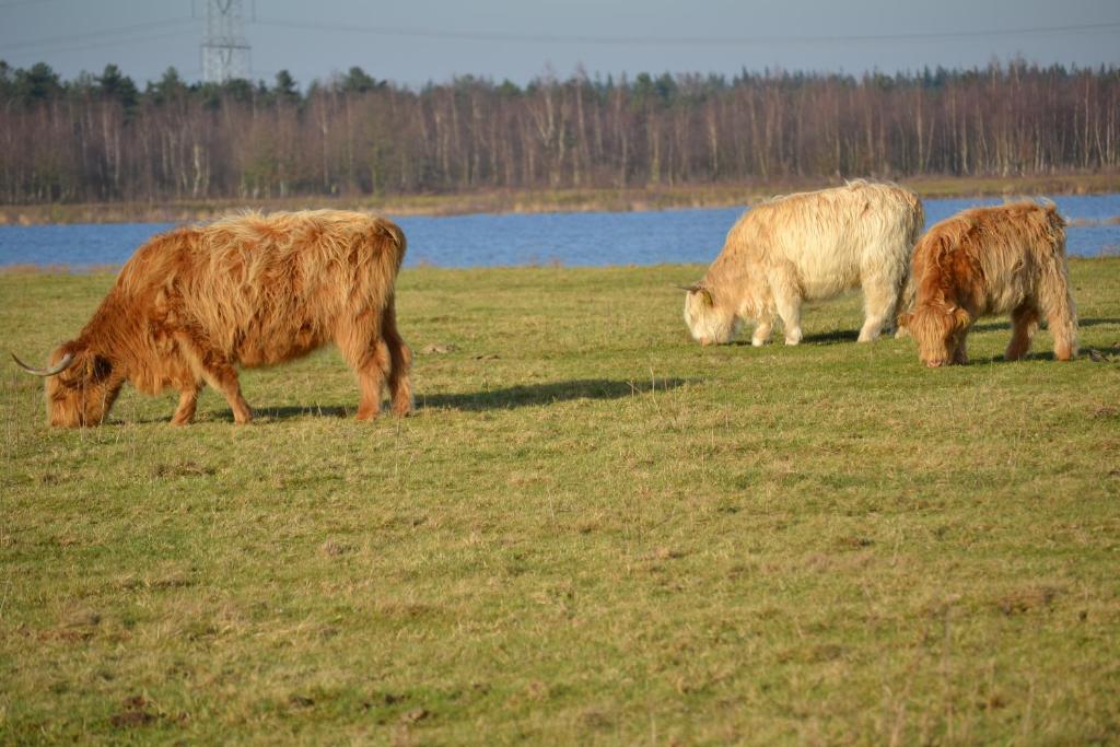 Auberge De Moerse Hoeve Kültér fotó