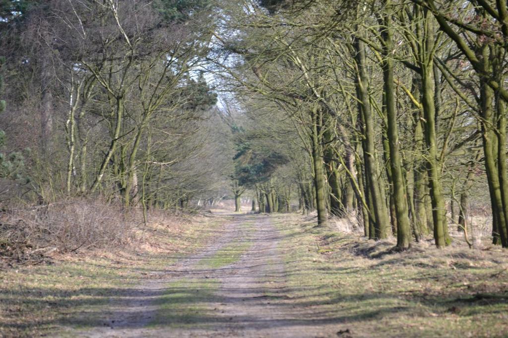 Auberge De Moerse Hoeve Kültér fotó