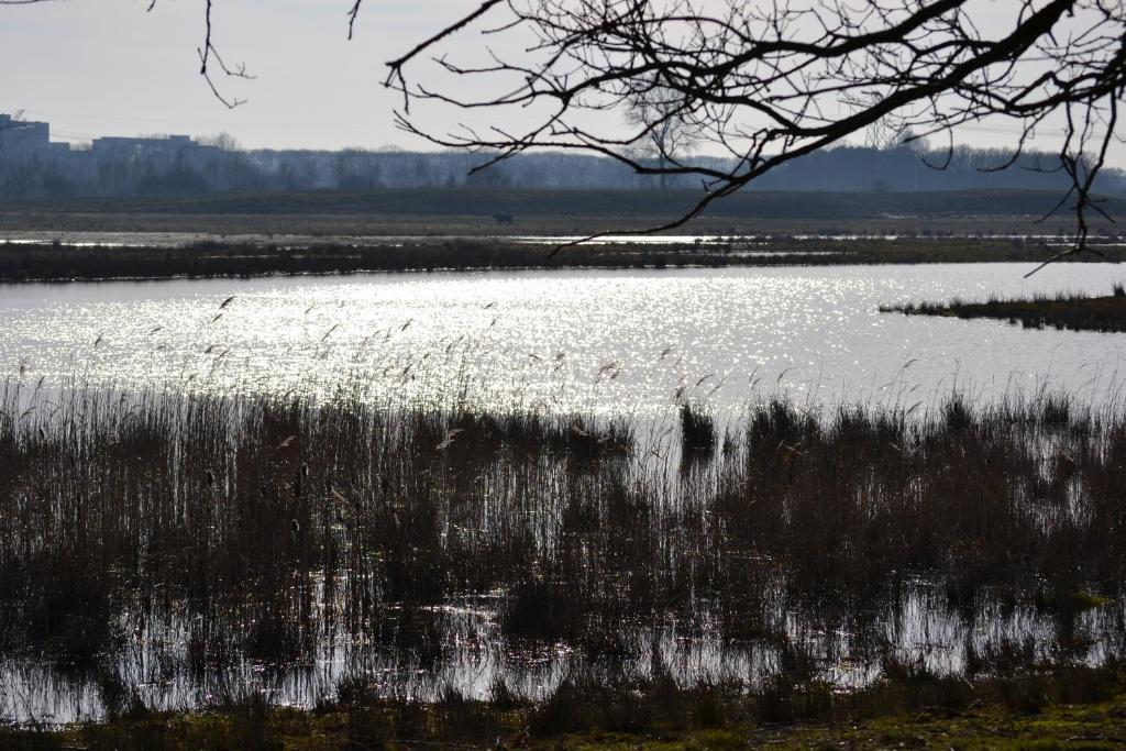 Auberge De Moerse Hoeve Kültér fotó