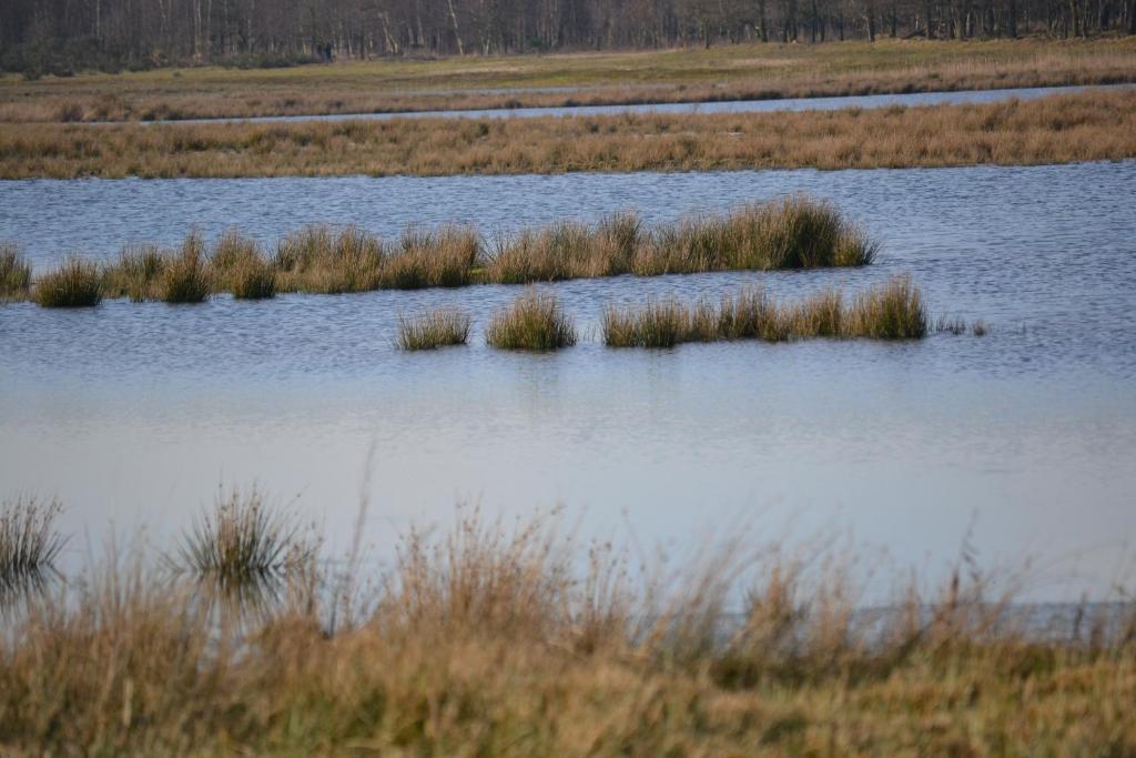 Auberge De Moerse Hoeve Kültér fotó