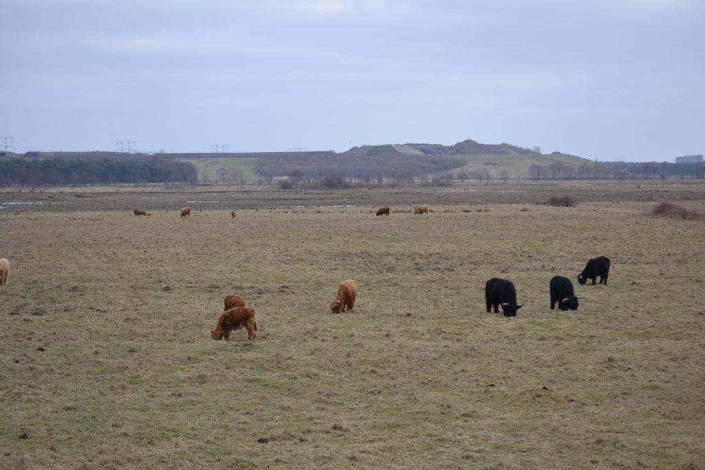 Auberge De Moerse Hoeve Kültér fotó